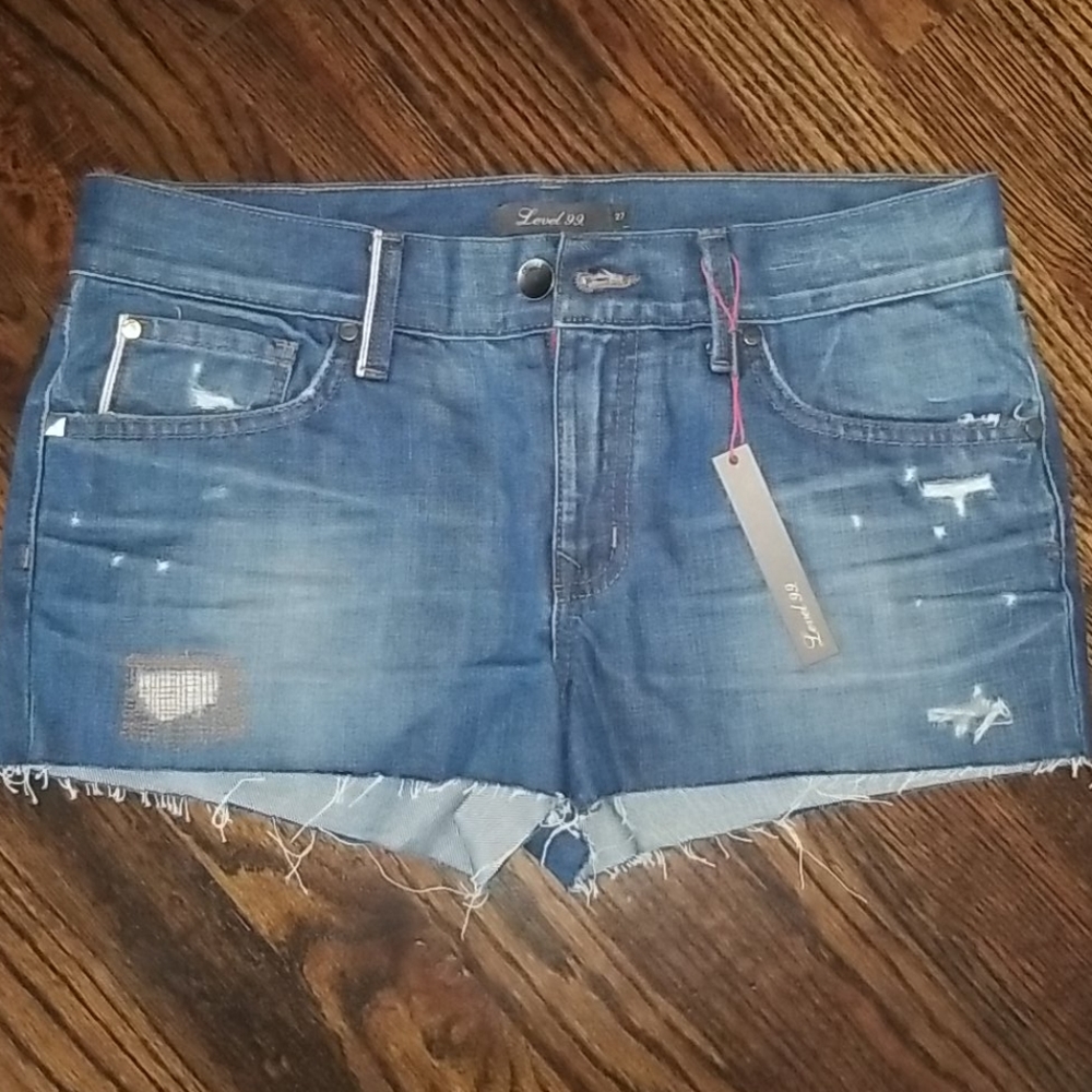 Level 99 Distressed Denim Shorts Cutoffs